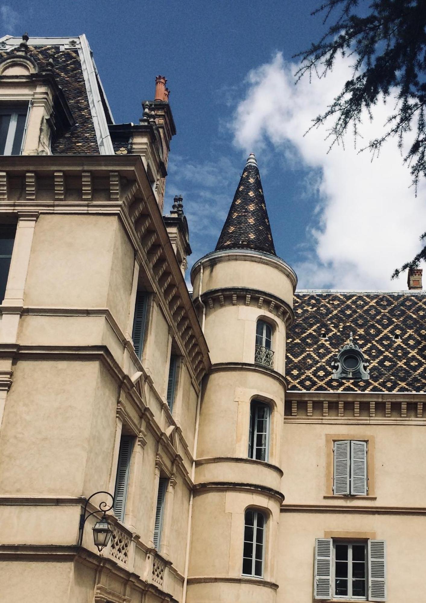 Grand Appartement D'Exception Au Chateau Randin Ecully Bagian luar foto