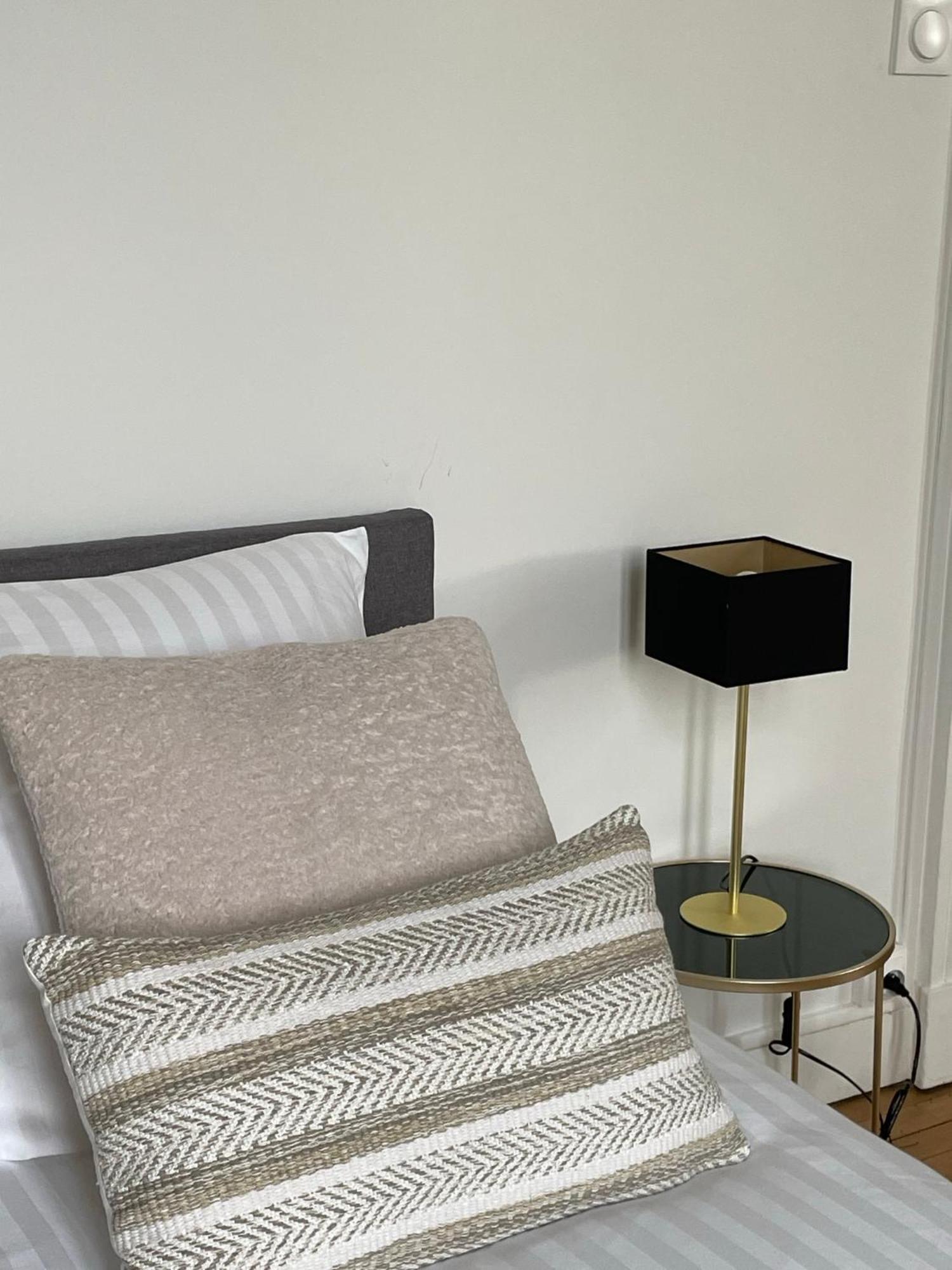 Grand Appartement D'Exception Au Chateau Randin Ecully Bagian luar foto
