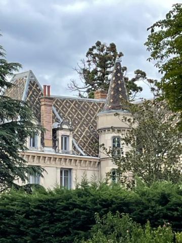 Grand Appartement D'Exception Au Chateau Randin Ecully Bagian luar foto