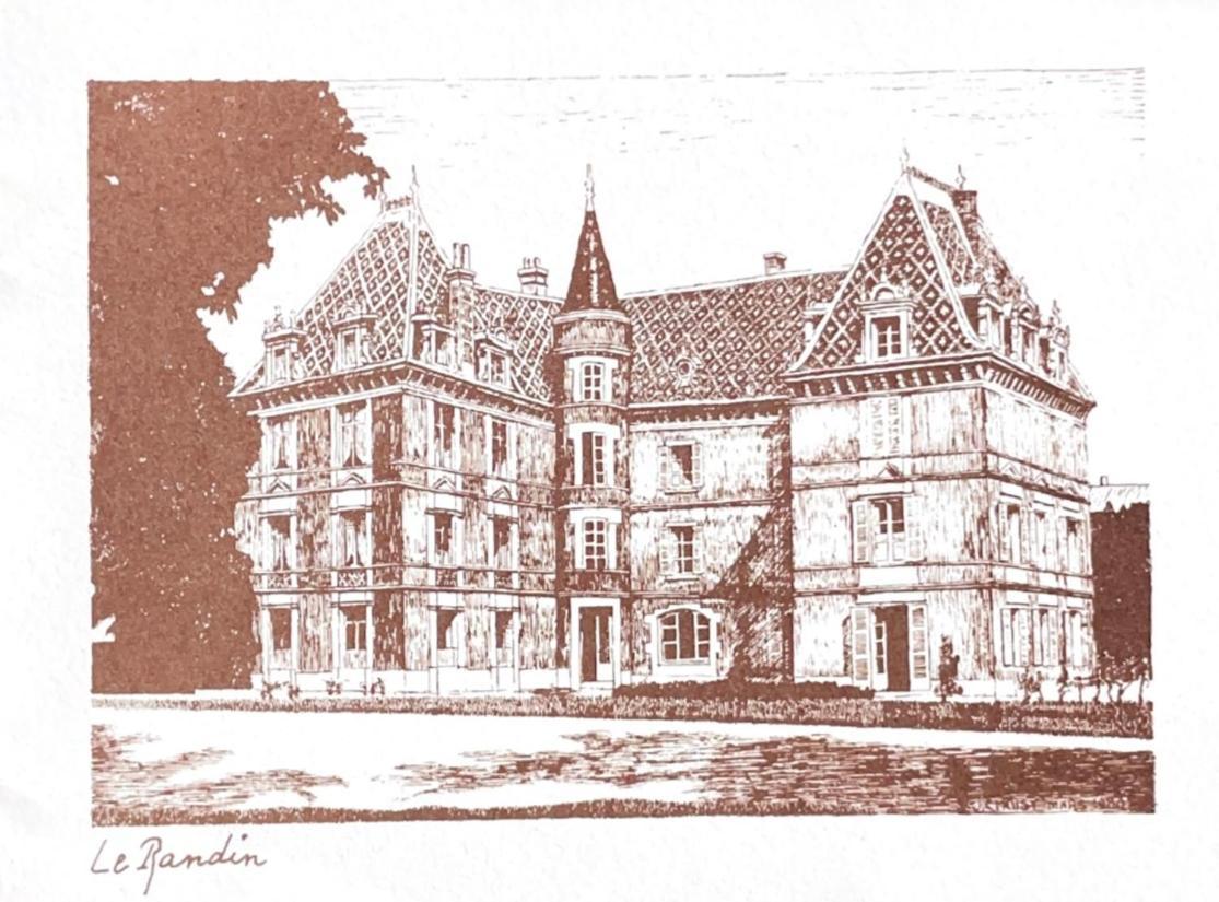 Grand Appartement D'Exception Au Chateau Randin Ecully Bagian luar foto
