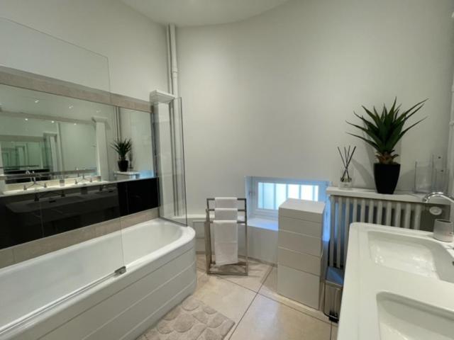 Grand Appartement D'Exception Au Chateau Randin Ecully Bagian luar foto